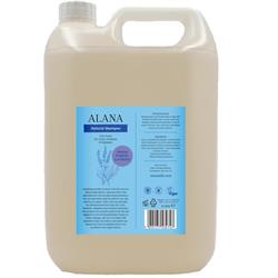 Alana - English Lavender Shampoo