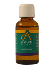Absolute Aromas - Eucalyptus Globulus Oil - 30ml
