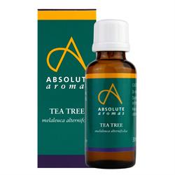 Absolute Aromas - Tea Tree Oil