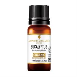 Amphora Aromatics - Eucalyptus Organic EO