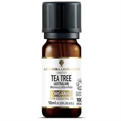 Amphora Aromatics - Tea Tree Organic EO