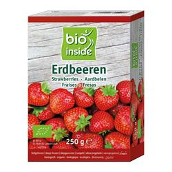 Bio Inside - Organic Strawberries