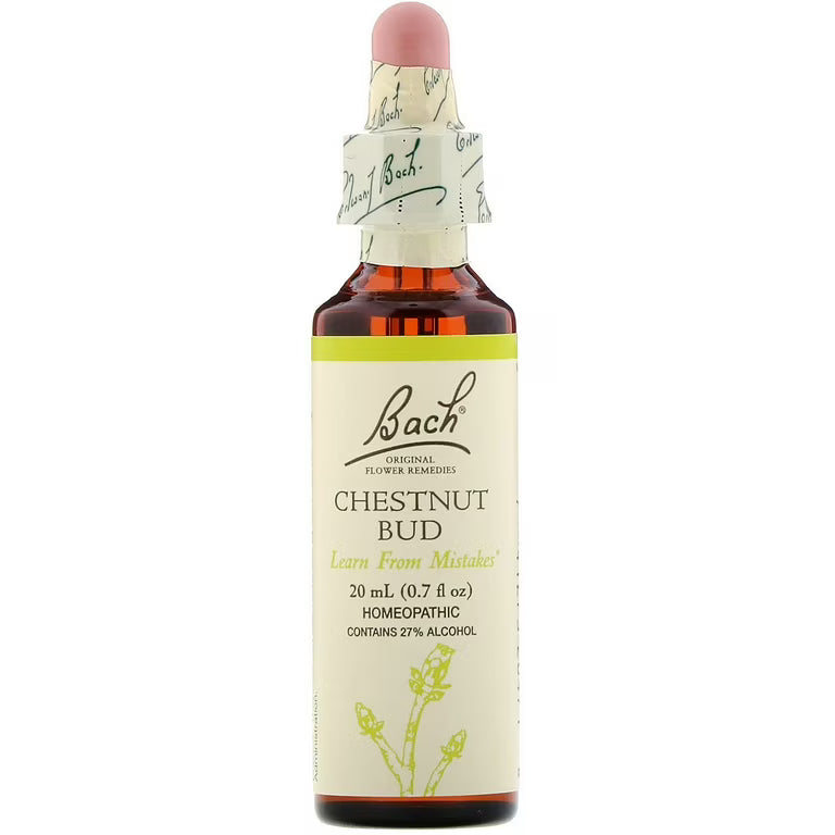 Bach Original Chestnut Bud 20ml