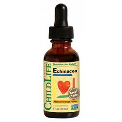 Child Life - Echinacea Orange