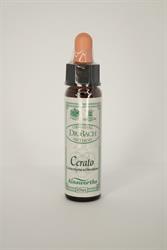 Dr Bach - Cerato bach Flower Remedy