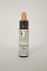 Dr Bach - Chestnut Bud Bach Flower Rem