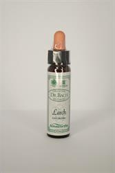 Dr Bach - Larch Bach Flower Remedy
