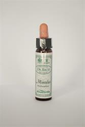 Dr Bach - Mimulus Bach Flower Remedy