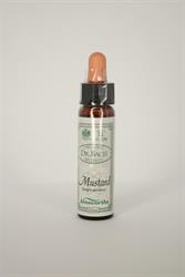 Dr Bach - Mustard Bach Flower Remedy