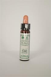 Dr Bach - Oak Bach Flower Remedy