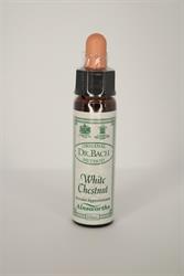 Dr Bach - White Chestnut Bach Flower Rem