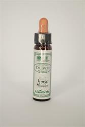 Dr Bach - Gentian Bach Flower Remedy