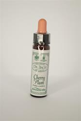 Dr Bach - Cherry Plum Bach Flower Remedy