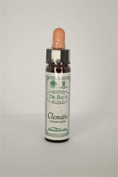 Dr Bach - Clematis Bach Flower Remedy