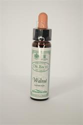 Dr Bach - Walnut Bach Flower Remedy