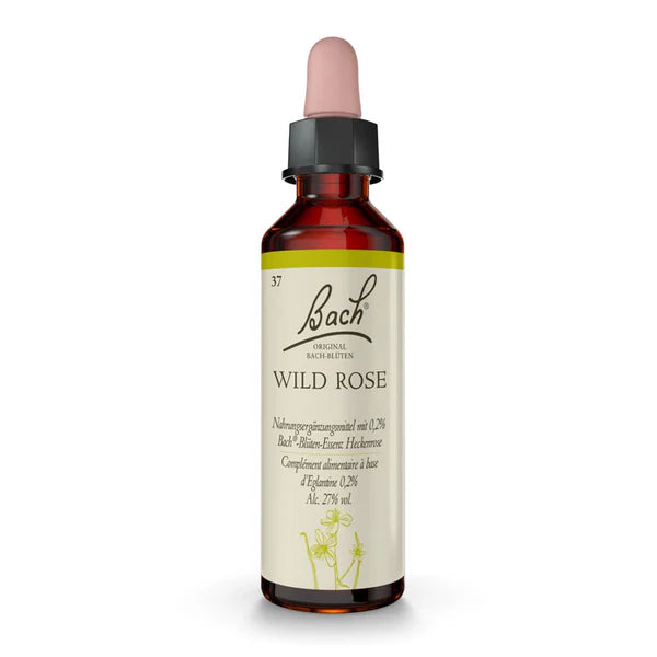 Bach Original Wild Rose 20ml