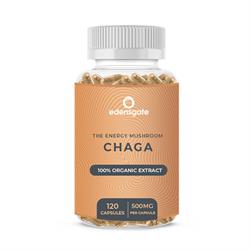 Edens Gate - Chaga Mushroom Extract Capsule