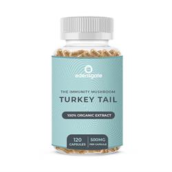 Edens Gate - Turkey Tail Mushroom Capsules