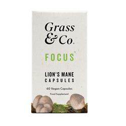 Grass and Co - FOCUS Lion's Mane Mushrooms