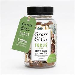 Grass and Co - FOCUS MAX Lion's Mane Gummies
