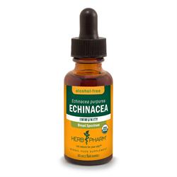 Herb Pharm - Echinacea Alcohol-Free