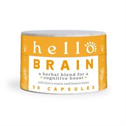 Hello Wellness - Hello Brain