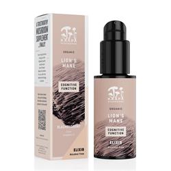 Kaapa Mushrooms - Lion's Mane Elixir - Cognition