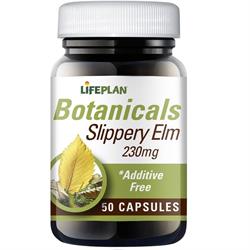 Lifeplan - Slippery Elm