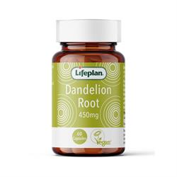Lifeplan - Dandelion Root