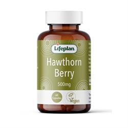 Lifeplan - Hawthorn 500mg