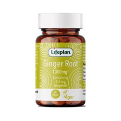 Lifeplan - Ginger Root