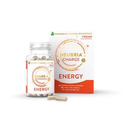 Neubria - Charge Energy