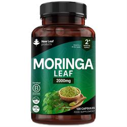New Leaf Products - Moringa Capsules
