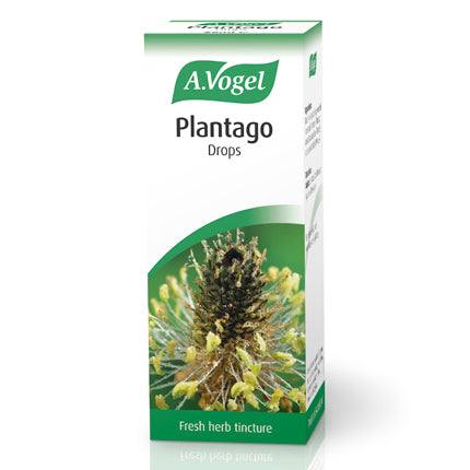 A.Vogel Plantago lanceolata 50ml